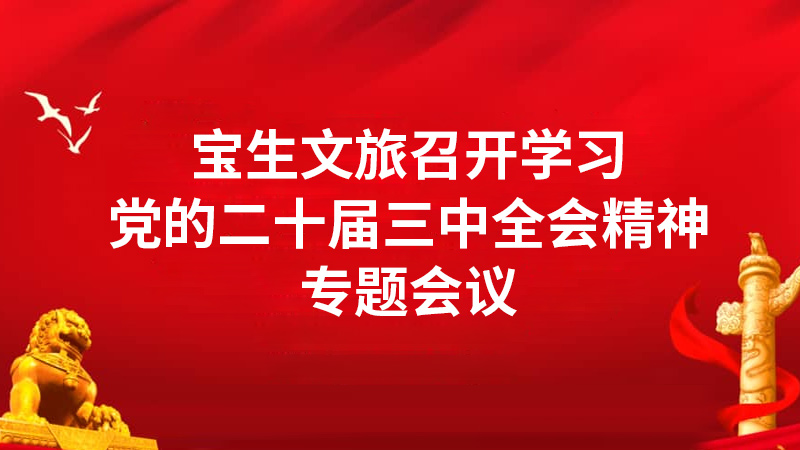 寶生文旅召開(kāi)學(xué)習(xí)黨的二十屆三中全會(huì)精神專(zhuān)題會(huì)議